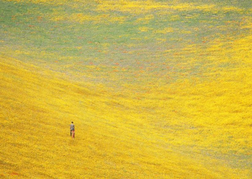 人与绿色大自然图片