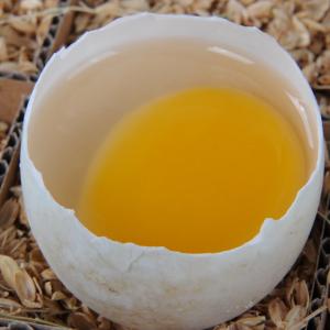 鸭蛋的吃法 鸭蛋这样吃能养生