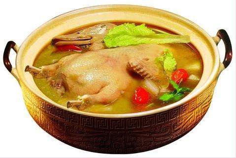 鹅的做法 这样吃老少皆宜有很好的滋补功效