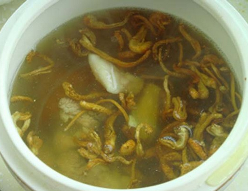 鳄鱼肉炖虫草花  鳄鱼肉的营养成分有哪些