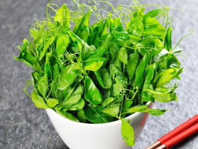 豌豆尖有着一些神奇的功效你知道吗