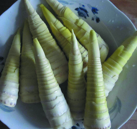 春笋怎么做好吃？春笋做法和营养价值介绍