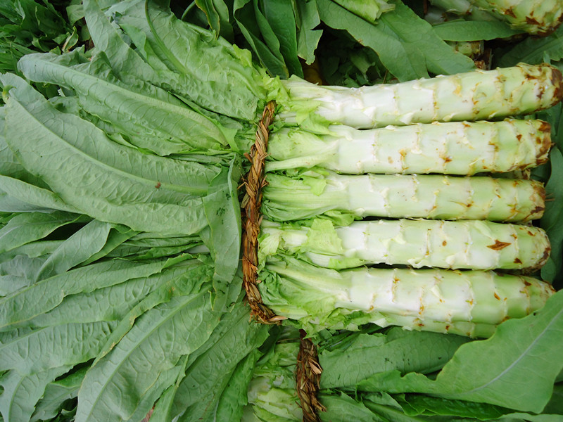 新鲜莴苣叶的做法