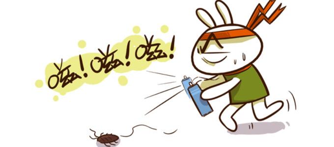 蟑螂怎么消灭 7个妙招安全有效又快速