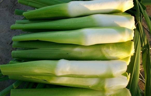 茭白的做法大全 这样做营养才不会流失