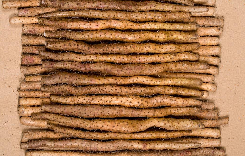 铁山药怎么吃 这样吃才能吃出它的价值