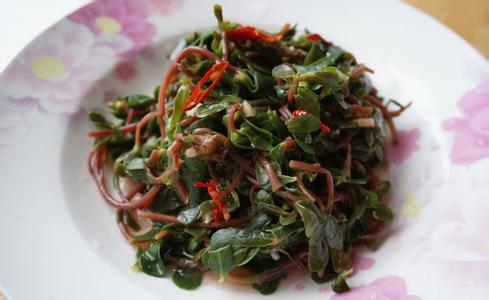 常见马齿苋的吃法  特殊人群孕妇要禁忌