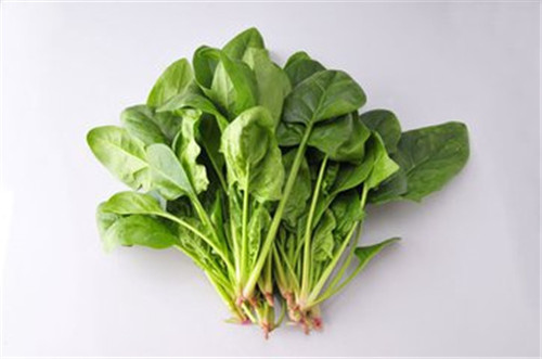 女吃菠菜好处多 菠菜的营养价值高