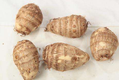 芋头的营养价值 不一样的芋头有不一样的营养价值