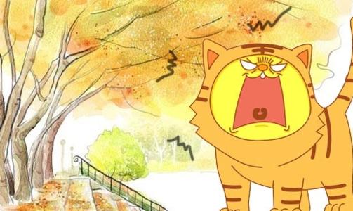 秋老虎是什么时候 应对秋老虎的措施