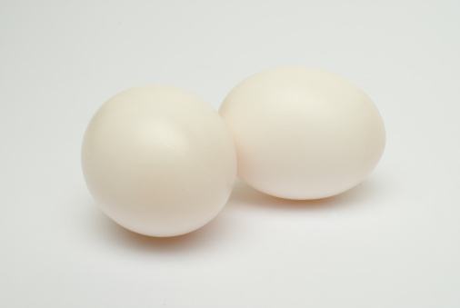 鸽子蛋营养价值和药用价值的详细介绍