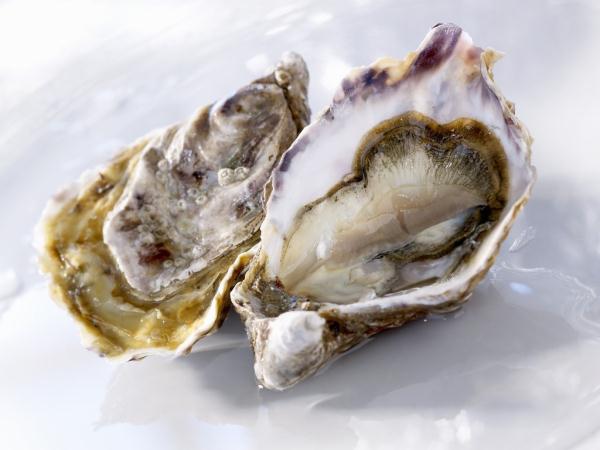 牡蛎的吃法(做法)大全 这样做好吃又美味