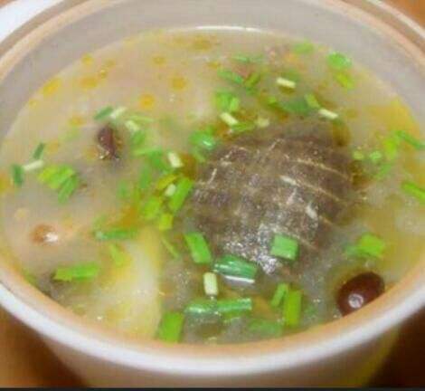 甲鱼的营养价值及哪些人群不能吃