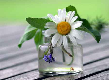 夏季养生保健知识