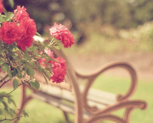 春季养生保健知识