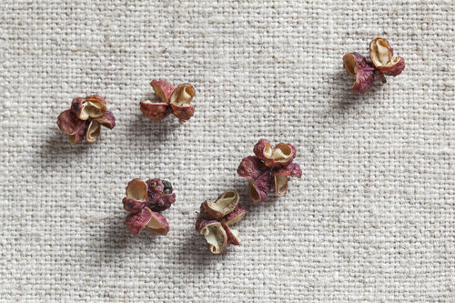 痔疮的最佳治疗偏方 简单又有效