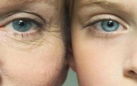 祛除皱纹 几种食物赶走皱纹