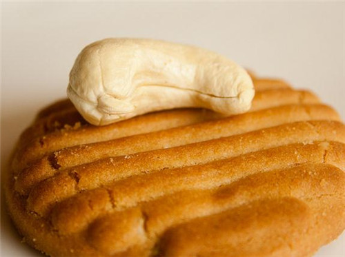 冬季养生食谱 补肾吃什么好