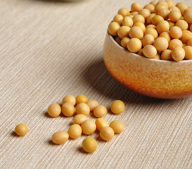 黄豆的营养价值