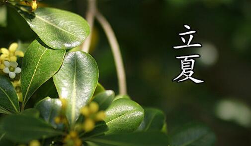 立夏养生吃什么食物比较好 立夏养生注意事项