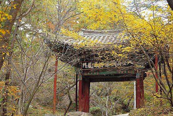 养肺是秋季养生保健知识的重中之重