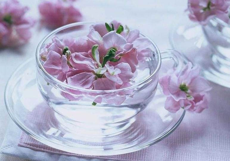 人要养生就一定要遵循四季养生法则