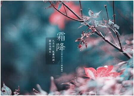 霜降养生 霜降养生重点在于保暖