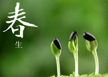 春季吃什么