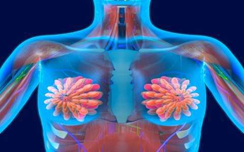 乳腺增生吃什么药