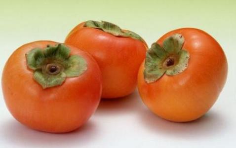 柿子不能和什么一起吃