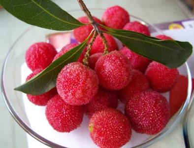 孕妇能吃杨梅吗