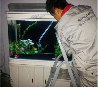 鱼缸清洗