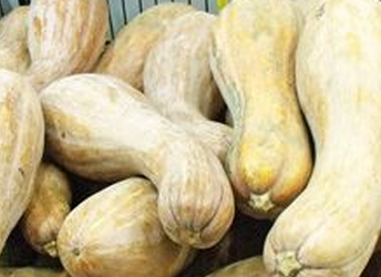 北瓜是什么及北瓜的最佳食用方法介绍