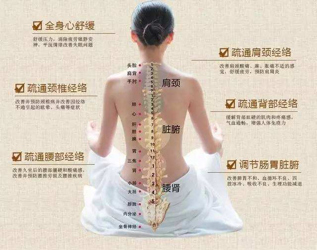 经络养生