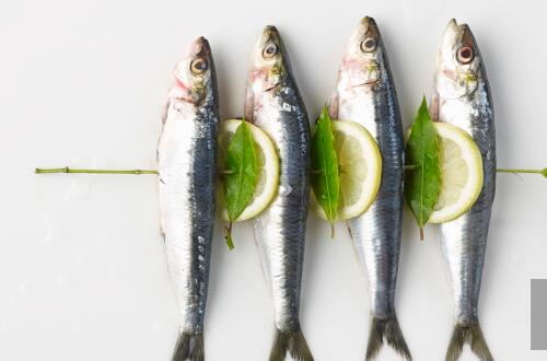 沙丁鱼的营养价值