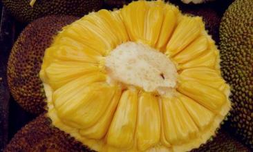 菠萝蜜的核怎么吃