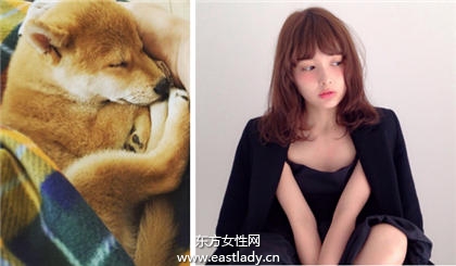 萌犬系发型增加萌感又能减龄