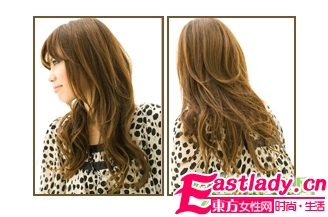 09秋季四款时尚个性发型秀