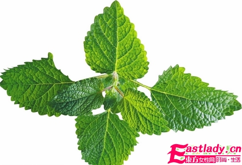 大自然的神奇能量 8种护发能量