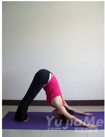 瑜伽拜日十二式详解 瑜伽初学者必看