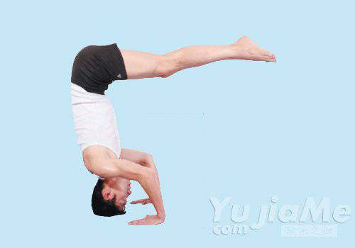 瑜伽初学者必看 瑜伽体位法的基础动作