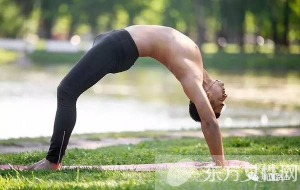 据说这七个瑜伽体式最燃烧卡路里