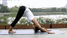 古印度瑜伽入门法 减肥养颜两不误