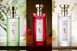 BVLGARI Eau Parfumée宝格丽奢华茶香古龙水系列