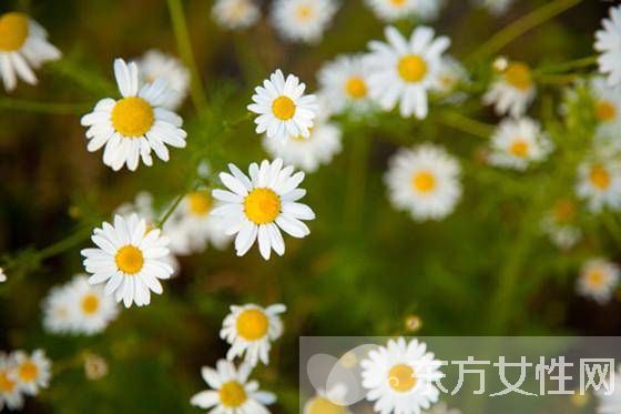 这六款香薰最适合全方位缓解日常压力