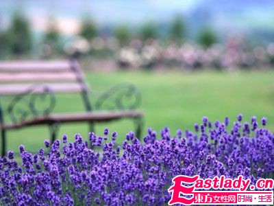 4款精油和失眠说BYEBYE