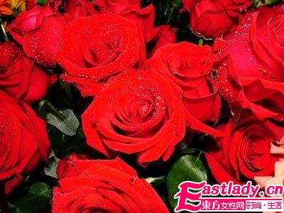 美容圣品玫瑰精油全接触