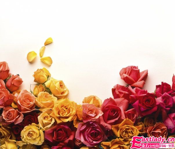 美容圣品玫瑰精油全接触