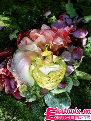 10款清新森林系香氛 营造你心中的森林