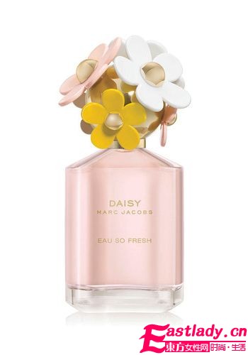 淡淡花香 Marc小雏菊又出新版本
